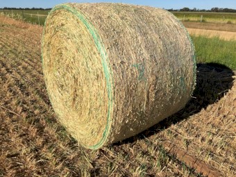 Oaten Hay Round Bales Fully Shedded