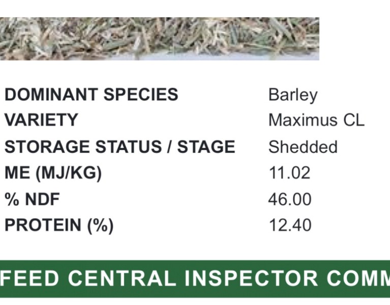 200mt Barley Hay 680kg Bales 8x4x3