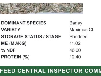200mt Barley Hay 680kg Bales 8x4x3