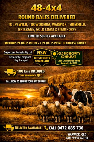 24 bales Quality Rhodes + 24 bales Prime Beardless Barley in one JOB LOT- 4 LOTS Available