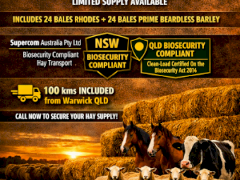 24 bales Quality Rhodes + 24 bales Prime Beardless Barley in one JOB LOT- 4 LOTS Available