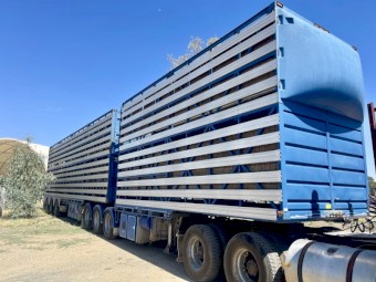 2007 Dickenson b double convertible stock crate