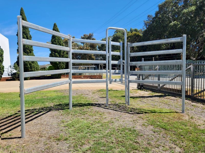 Cattle Gates - WA Made