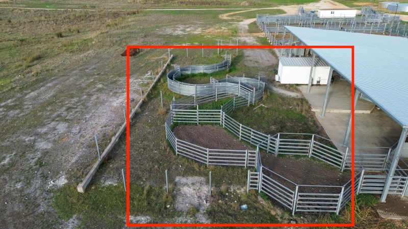 Proway Curved Cattle Yard