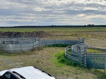 Proway Curved Cattle Yard