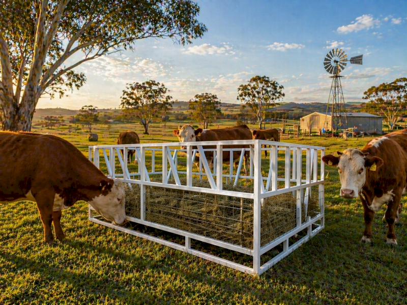 Cattle hay bale feeder