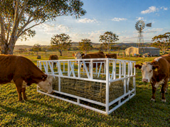 Cattle hay bale feeder
