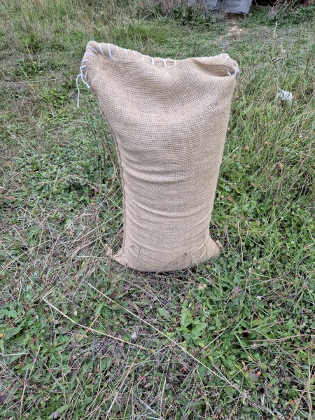 Saia Oats