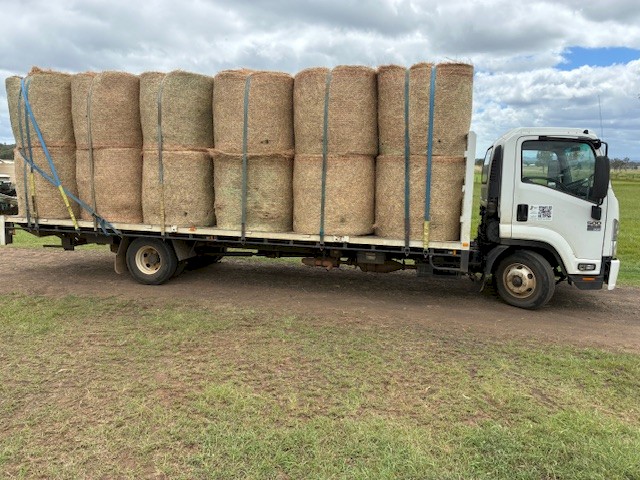 4x4 Freshly baled Bluegrass