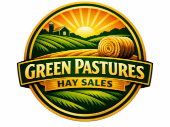 4x4 Premium Rhodes Grass Hay