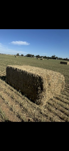 200mt Wheaten Hay 8x4x3 Bales
