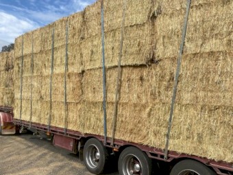200mt Wheaten Hay 8x4x3 Bales