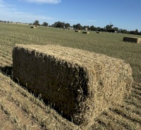 200mt Wheaten Hay 8x4x3 Bales