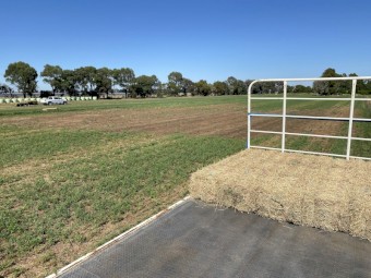 400 x Lucerne Hay Small Squares