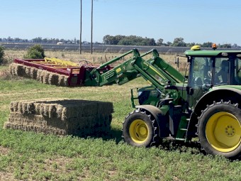 400 x Lucerne Hay Small Squares