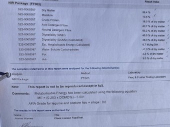 Vetch Hay - 74 Rolls