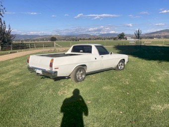 Holden HX ute 