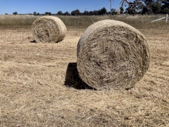 Oaten Hay 4x4 Round bales