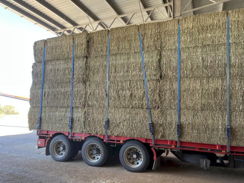 250mt Vetch Hay 8x4x3 Bales