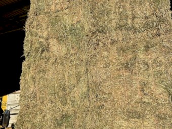 250mt Vetch Hay 8x4x3 Bales