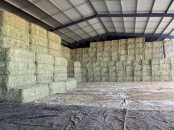 250mt Oaten Hay 8x4x3 Bales