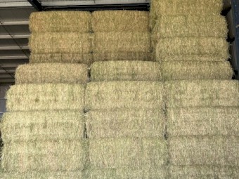 250mt Oaten Hay 8x4x3 Bales