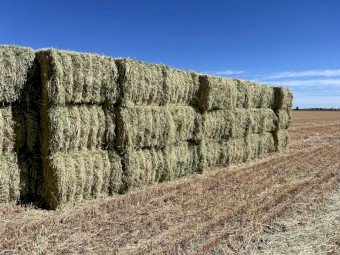 250mt Oaten Hay 8x4x3 Bales