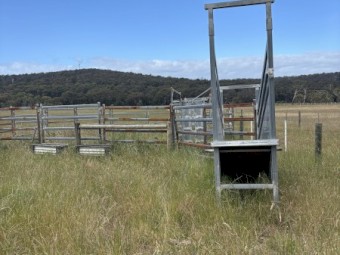 Cattle or horse yards
