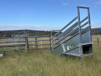 Cattle or horse yards
