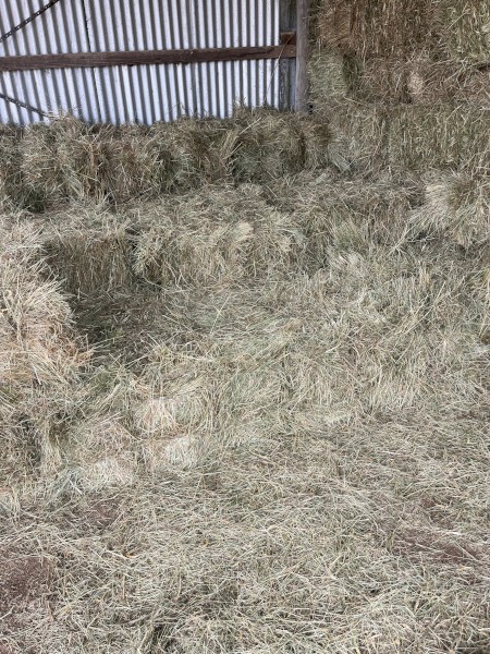Small Square Hay Bales