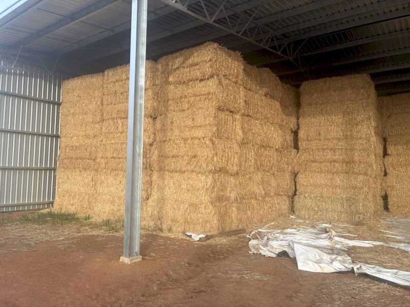 108mt Wheaten Hay 670-680kg 8x4x3 Bales