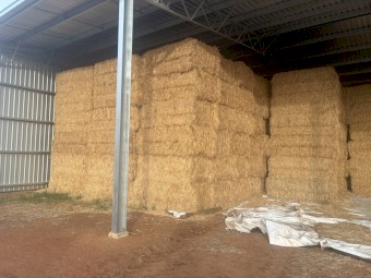108mt Wheaten Hay 670-680kg 8x4x3 Bales