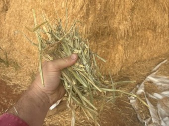 108mt Wheaten Hay 670-680kg 8x4x3 Bales