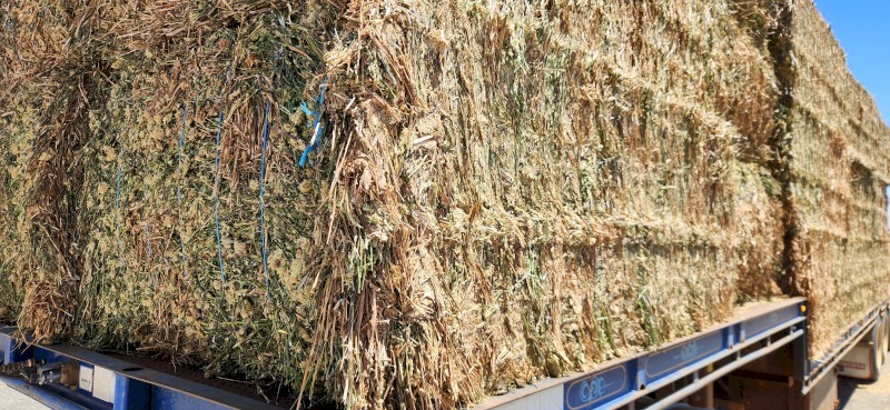 80mt Arrowleaf Cover Hay 680kg 8x4x3 Bales