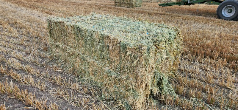 Oaten Hay