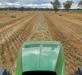 Oaten Hay