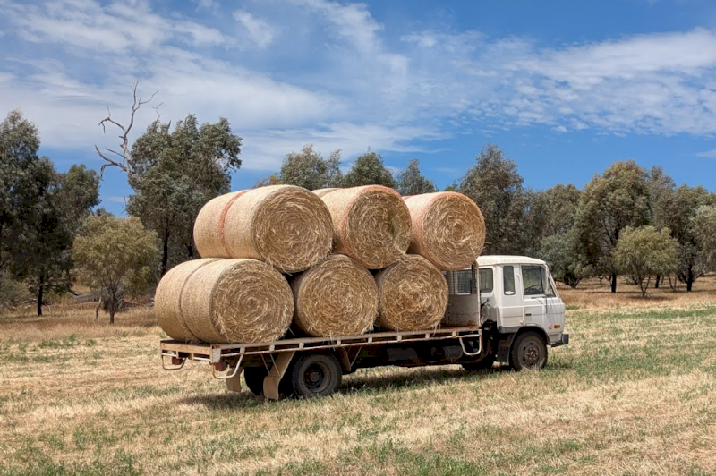 2025 oaten/ryegrass rounds