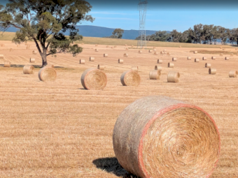 2025 oaten/ryegrass rounds