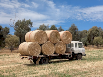 2025 oaten/ryegrass rounds