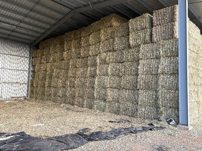 Oaten Hay 8x4x3 Bales