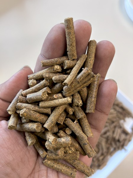 Feed Pellets - 17% Protein - Bulka Bags or Bulk