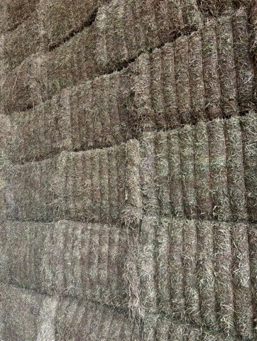 500mt Vetch Hay 8x4x3 bales