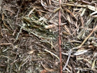 500mt Vetch Hay 8x4x3 bales
