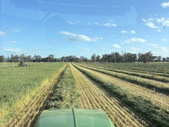 Oaten Hay 5x4 Rolls