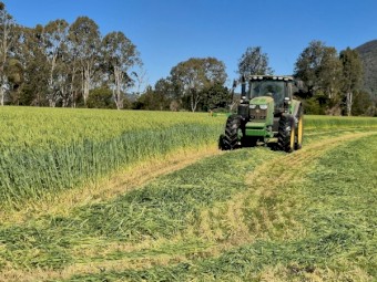 BARLEY ROUND BALES