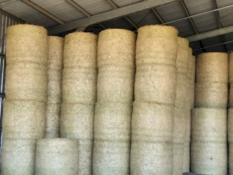 OATEN ROUND BALES