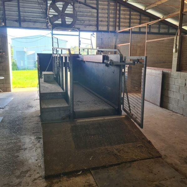 Horse Treadmill  