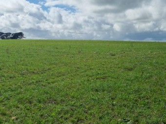 BioBoost NPK/Cal:Mag Fertiliser