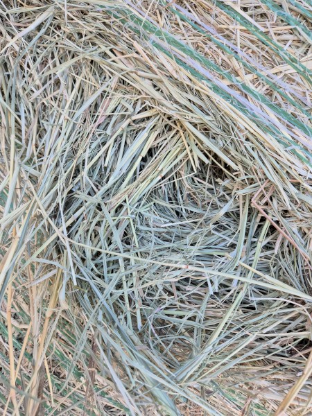 4x4 Grassy Lucerne Rounds