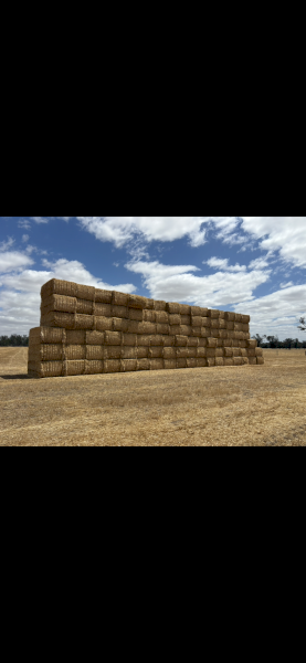 Oaten Hay 